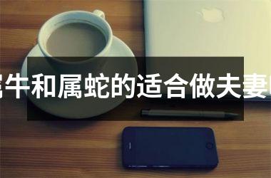 <h3>属牛和属蛇的适合做夫妻吗