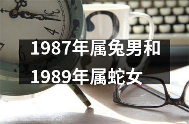 1987年属兔男和1989年属蛇女