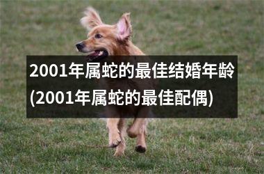 <h3>2001年属蛇的最佳结婚年龄(2001年属蛇的最佳配偶)