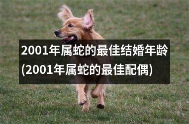 2001年属蛇的最佳结婚年龄(2001年属蛇的最佳配偶)