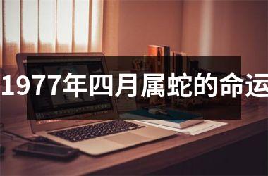 1977年四月属蛇的命运