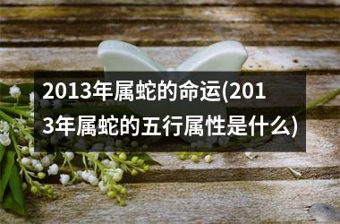 <h3>2013年属蛇的命运(2013年属蛇的五行属性是什么)