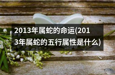 2013年属蛇的命运(2013年属蛇的五行属性是什么)