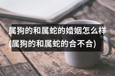 属狗的和属蛇的婚姻怎么样(属狗的和属蛇的合不合)