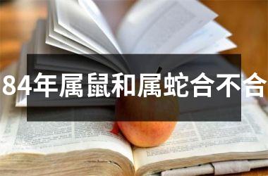 <h3>84年属鼠和属蛇合不合