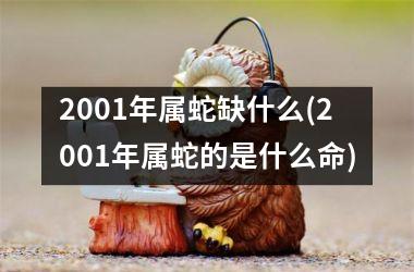 <h3>2001年属蛇缺什么(2001年属蛇的是什么命)