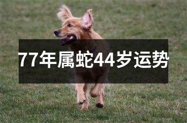 <h3>77年属蛇44岁运势