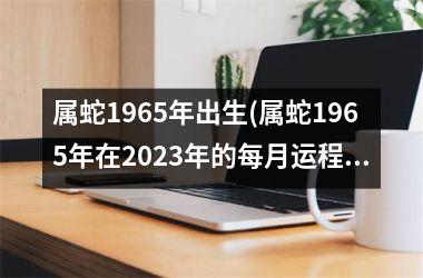 属蛇1965年出生(属蛇1965年在2023年的每月运程)