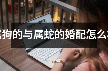 <h3>属狗的与属蛇的婚配怎么样
