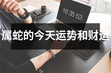 属蛇的今天运势和财运