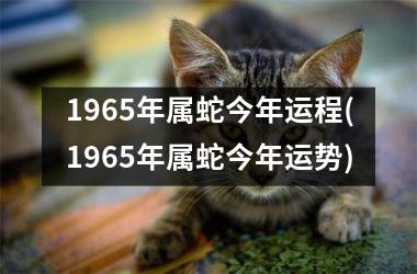1965年属蛇今年运程(1965年属蛇今年运势)