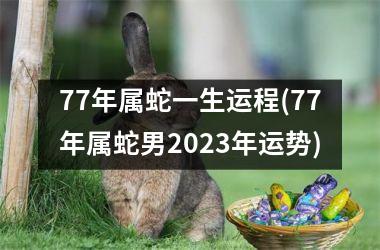 77年属蛇一生运程(77年属蛇男2023年运势)