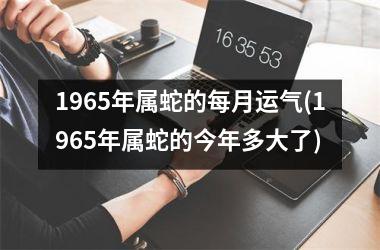 1965年属蛇的每月运气(1965年属蛇的今年多大了)