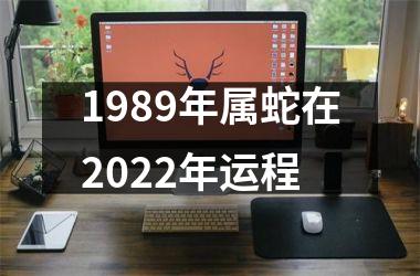 1989年属蛇在2025年运程