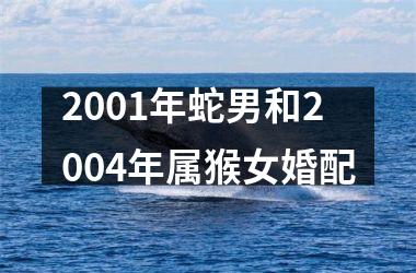 2001年蛇男和2004年属猴女婚配