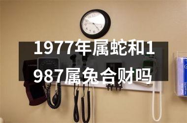 1977年属蛇和1987属兔合财吗