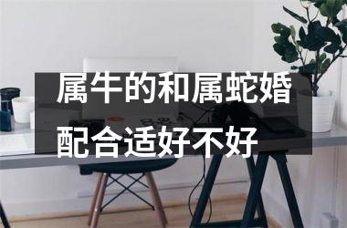 属牛的和属蛇婚配合适好不好