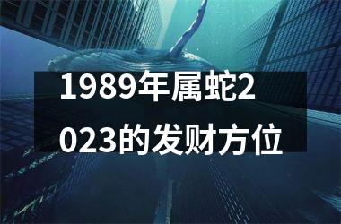 1989年属蛇2023的发财方位