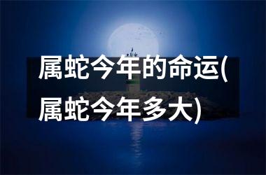 <h3>属蛇今年的命运(属蛇今年多大)