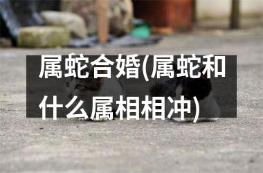 <h3>属蛇合婚(属蛇和什么属相相冲)
