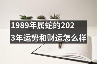 1989年属蛇的2023年运势和财运怎么样