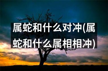 属蛇和什么对冲(属蛇和什么属相相冲)