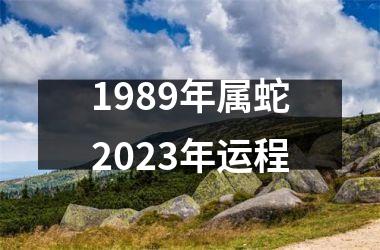 1989年属蛇2023年运程