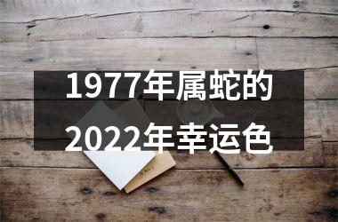 1977年属蛇的2025年幸运色
