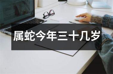 <h3>属蛇今年三十几岁