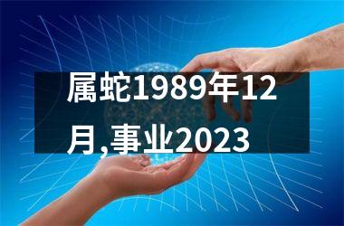 属蛇1989年12月,事业2023