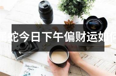 <h3>属蛇今日下午偏财运如何