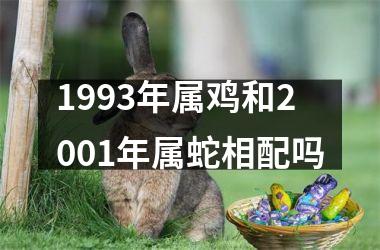 1993年属鸡和2001年属蛇相配吗