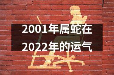 <h3>2001年属蛇在2025年的运气