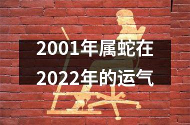 2001年属蛇在2022年的运气