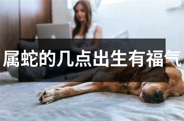 <h3>属蛇的几点出生有福气
