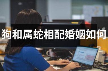 狗和属蛇相配婚姻如何