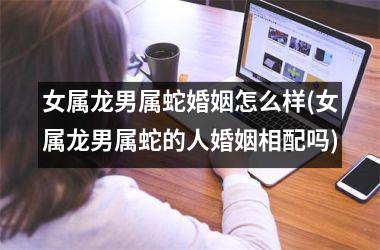 女属龙男属蛇婚姻怎么样(女属龙男属蛇的人婚姻相配吗)