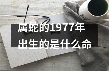 属蛇的1977年出生的是什么命
