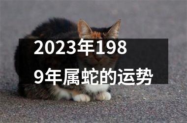 <h3>2025年1989年属蛇的运势