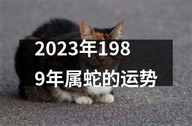 2023年1989年属蛇的运势