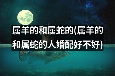 <h3>属羊的和属蛇的(属羊的和属蛇的人婚配好不好)