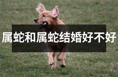 <h3>属蛇和属蛇结婚好不好