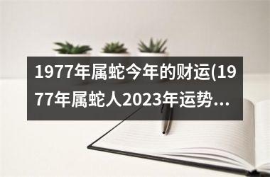 1977年属蛇今年的财运(1977年属蛇人2023年运势运程每月运程)