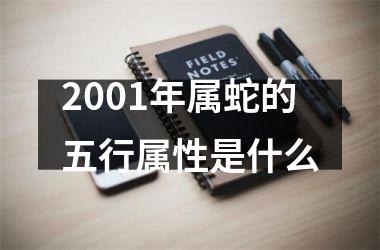 2001年属蛇的五行属性是什么