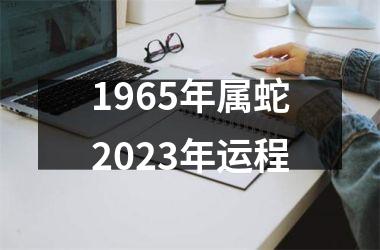 1965年属蛇2023年运程