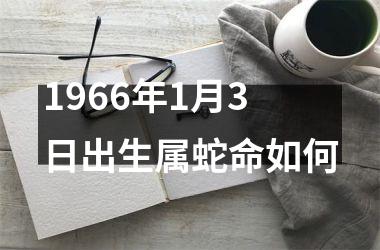 1966年1月3日出生属蛇命如何