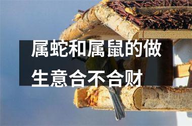 <h3>属蛇和属鼠的做生意合不合财