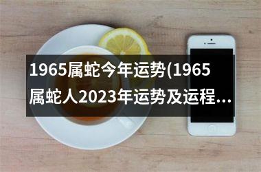 1965属蛇今年运势(1965属蛇人2023年运势及运程)