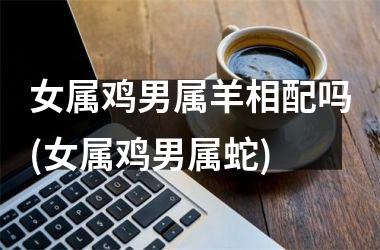 <h3>女属鸡男属羊相配吗(女属鸡男属蛇)