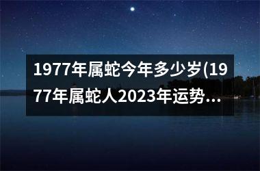 1977年属蛇今年多少岁(1977年属蛇人2025年运势运程每月运程)
